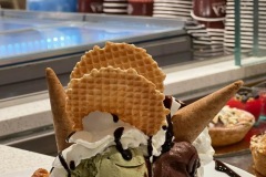 IMG_6251